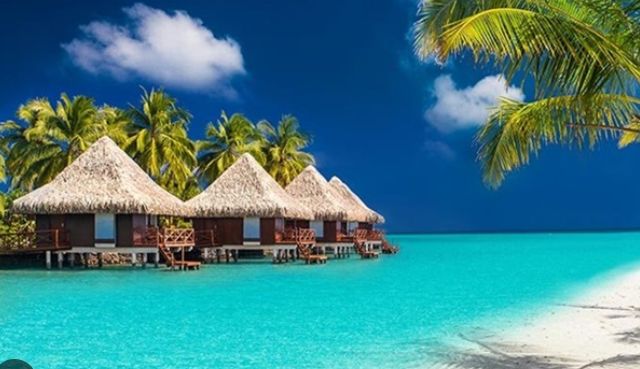 Captură de ecran 2025-07-26 234146