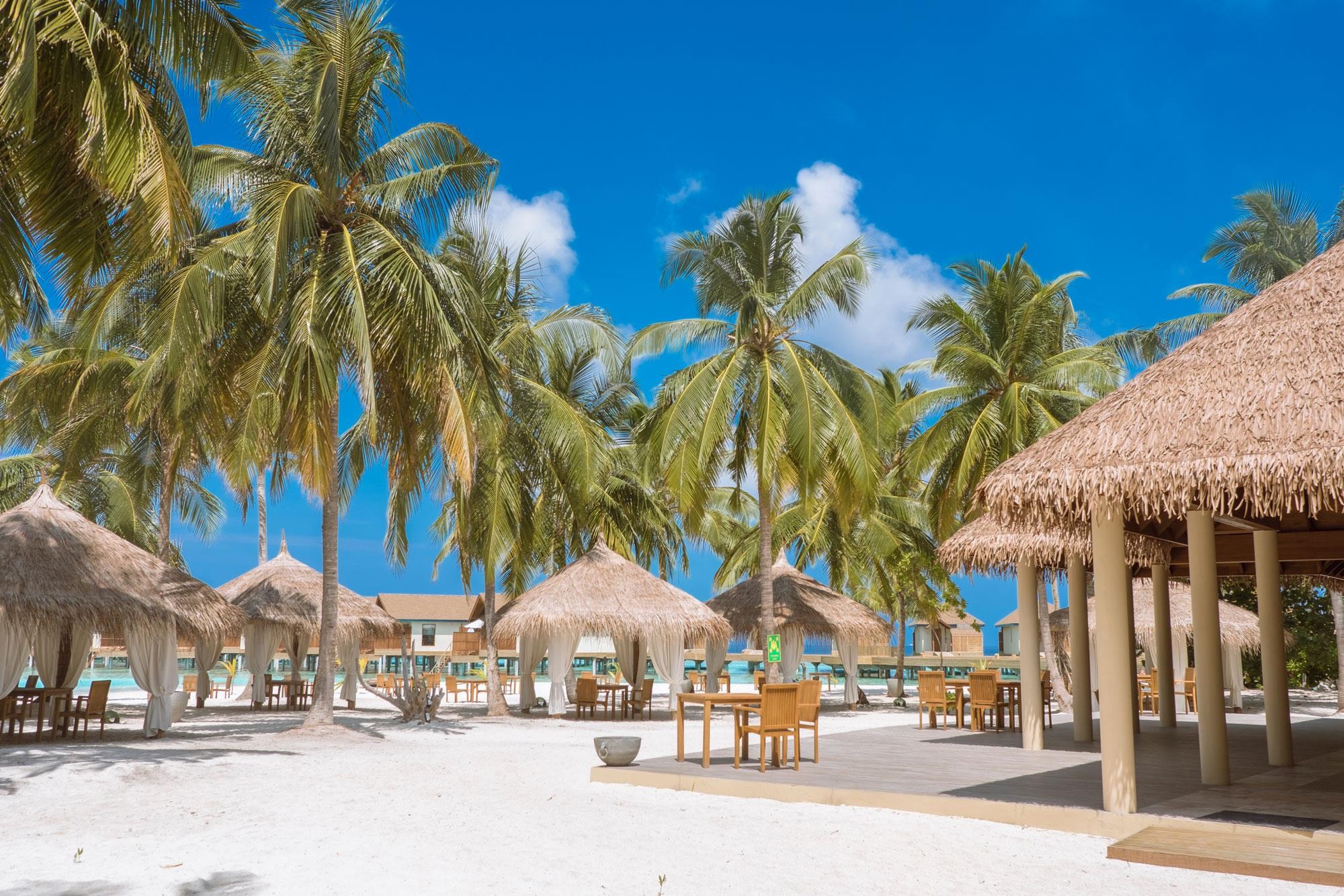 23-reethi-gril